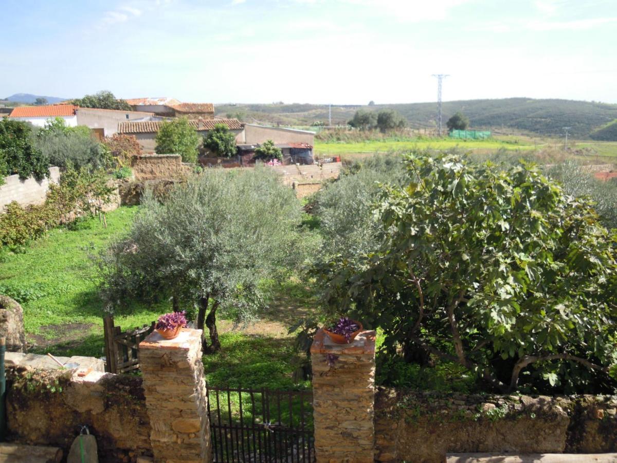 Hostel Cañaveral Zewnętrze zdjęcie